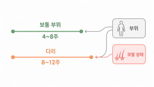 레이저제모 간격은 한 숫자가 아니라 부위와 모발 상태에 따라 달라지는 범위로 정합니다 - 덕천레이저제모 | 미미썸의원 부산덕천점