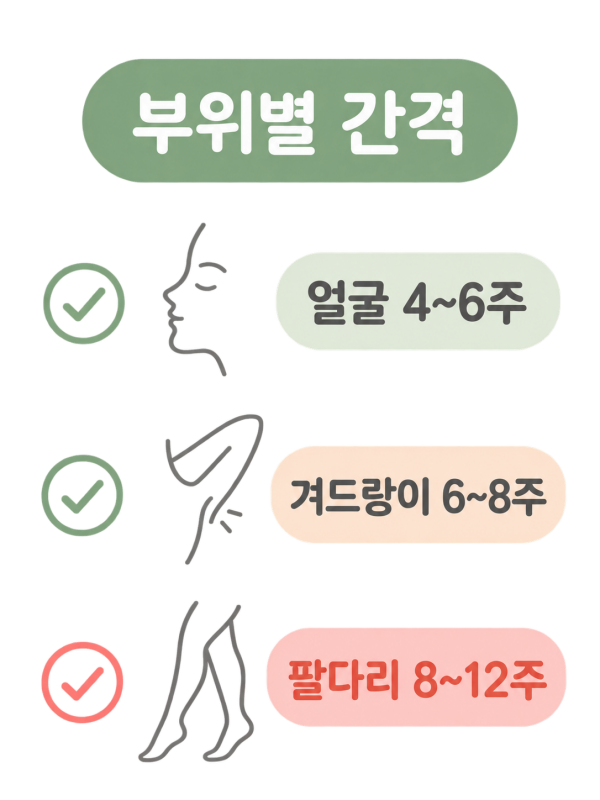 제모 부위마다 모발의 휴지기가 달라 얼굴은 짧게, 팔다리는 길게 시술 간격을 잡습니다 - 덕천레이저제모 | 미미썸의원 부산덕천점